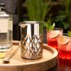 Harrison Double-Walled Mixing Glass in Silver Viski