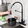 Kitchen Faucet with Pull Out Sprayer-dk