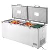 19.8 Cu.ft / 561 Large Deep Freezer with Split Top Double Locking Lids