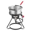 10 Qt Fish and Wing Fryer, Aluminum Propane Fish Fryer Kit, Outdoor Deep Fryer Seafood Pot with Thermometer, Strainer Basket, and 54