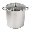 Stainless Steel 16-Quart Stock Pot with Glass Lid
