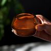 Tequila Copita Glass in Amber Viski