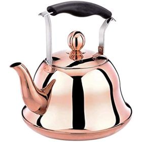 Rose Gold Stainless Steel Kettle with Anti-scalding Handle (size: 5L)